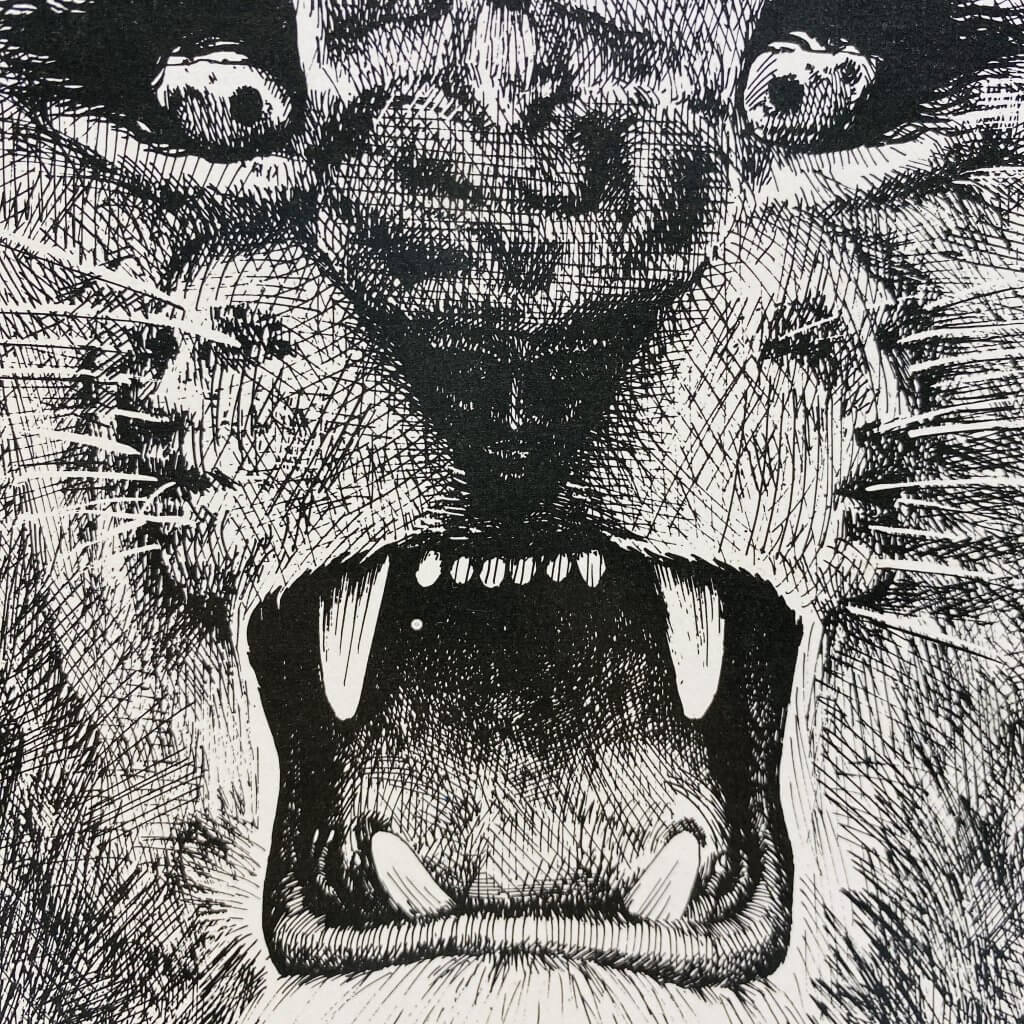 Santana, album éponyme. Zoom sur la gueule du lion.