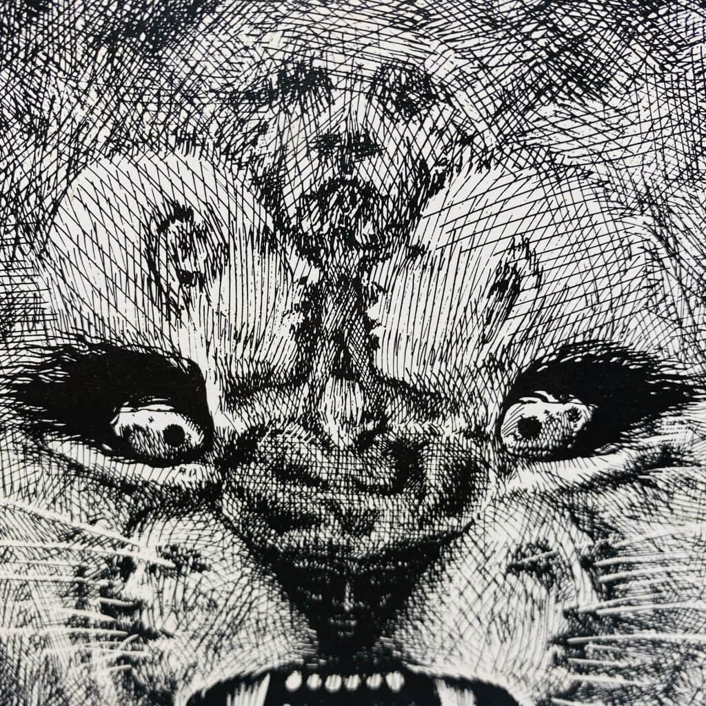 Santana, album éponyme. Zoom sur les visages dissimulés.